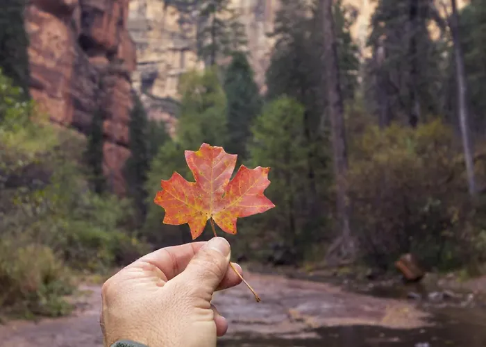 Starlite Stunning Red Rock Views Backyard Oasis Walk To Mystic Trail Holiday home Sedona